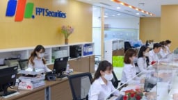 Chứng khoán FPT (FTS) hoàn tất tăng vốn lên 3.365 tỷ đồng, chuẩn bị trả cổ tức năm 2024 bằng tiền mặt