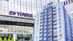 Nhóm cổ đông CII nâng sở hữu tại NBB lên gần 75%
