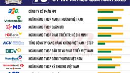Top 10 Công ty Đại chúng uy tín và hiệu quả năm 2025
