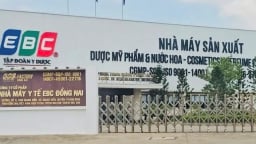 Khởi tố vụ án hình sự 'sản xuất, buôn bán hàng giả' xảy ra tại CTCP Nhà máy y tế EBC Đồng Nai do chồng Đoàn Di Băng phân phối