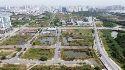 TP HCM lùi thời gian đấu giá 3 lô 'đất vàng' tại Thủ Thiêm sang tháng 12