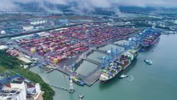 Nghiên cứu thành lập tổ chức phối hợp liên ngành tại địa phương về phát triển bền vững kinh tế biển