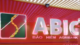 ABIC muốn tăng vốn lên hơn 1.000 tỷ đồng, trả cổ tức tỷ lệ 20%