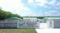 BAF Việt Nam đề xuất xây hai dự án cao tầng thông minh để nuôi heo đầu tiên tại Việt Nam