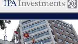 Đầu tư I.P.A sẽ tiếp tục không trả cổ tức năm 2024, một thành viên HĐQT từ nhiệm
