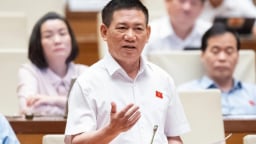 Phó Thủ tướng Hồ Đức Phớc: Nên áp dụng thuế khoán đối với hộ kinh doanh, buôn bán nhỏ, doanh thu dưới 1 tỷ đồng