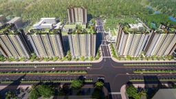 Chấp thuận đầu tư Dự án khu dân cư cao tầng gần 8ha của Năm Bảy Bảy (NBB) 