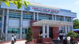 Công ty Cổ phần Cao su Sông Bé bị phạt nặng do 'xào nấu' kết quả kinh doanh từ lỗ thành lãi