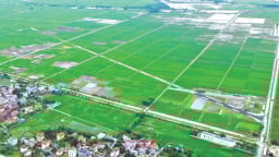 Kéo dài thời hạn miễn thuế sử dụng đất nông nghiệp đến hết năm 2030, ước tính  7.500 tỷ đồng/năm
