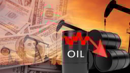 Giá dầu quay đầu giảm khi OPEC+ dự tính tăng sản lượng