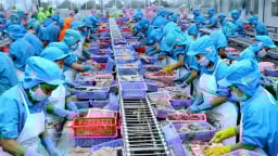 Xuất khẩu thủy sản tăng chậm lại trong tháng 6, nguy cơ suy giảm nửa cuối năm do áp lực thuế quan từ Mỹ