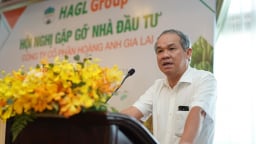 HAGL (HAG) của 'bầu Đức' dự kiến nâng mục tiêu lợi nhuận 2025 lên 2.500 tỷ đồng