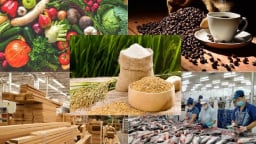 6 tháng đầu năm, xuất khẩu nông, lâm, thủy sản tăng hơn 15%