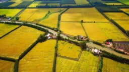 Miễn thuế sử dụng đất nông nghiệp đến hết năm 2030