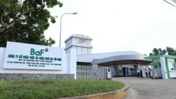  'Chung cư nuôi heo' đầu tiên tại Việt Nam của BAF được chấp thuận chủ trương đầu tư