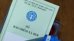 Quy định mới nhất về bảo hiểm xã hội bắt buộc