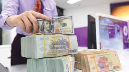 Nguyên nhân nào khiến VND vẫn mất giá gần 3% dù USD suy yếu?