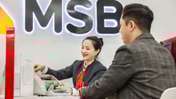 MSB chuẩn bị trả cổ tức tỷ lệ 20%, tăng vốn lên 31.200 tỷ đồng