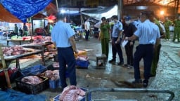 Công an Hà Nội triệt phá đường dây giết mổ tiêu thụ thịt bệnh ra thị trường