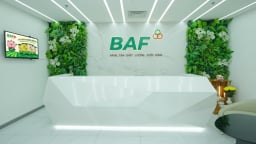 BaF Việt Nam thành lập công ty con, vốn 150 tỷ đồng