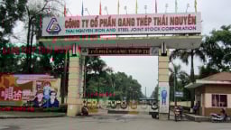Gang Thép Thái Nguyên (TISCO) bị phạt và truy thu hơn 225 tỷ đồng do kê khai sai phí bảo vệ môi trường
