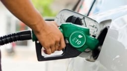Thí điểm bán xăng sinh học E10 tại TP HCM từ ngày 1/8