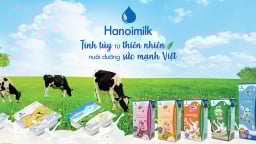  Hanoimilk doanh thu nhích tăng, nợ lãi vay về 0
