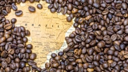 Phát hiện kho dự trữ cà phê Brazil gần cạn