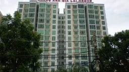 Hoàng Anh Gia Lai (HAG) trình phương án phát hành 210 triệu cổ phiếu để hoán đổi nợ