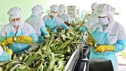 M&A: Nguyên liệu Á Châu hoàn tất thương vụ mua hơn 7 triệu cổ phiếu GC Food