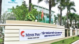 Thủy sản Minh Phú (MPC) báo lãi cao nhất 10 quý