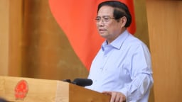 Thủ tướng chỉ đạo xử lý nghiêm hành vi sở hữu chéo, cấp tín dụng cho doanh nghiệp 'sân sau'