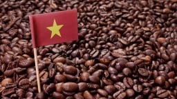 Xuất khẩu cà phê dự báo kỷ lục mới
