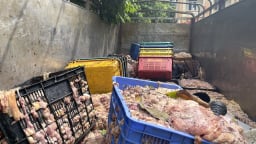 Hà Nội: Phát hiện ô tô vận chuyển hơn 2 tấn mỡ và da bò không rõ nguồn gốc đã bốc mùi