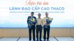 Ông Trần Bá Dương – Chủ tịch HĐQT THACO - sẽ trực tiếp ngồi ghế Tổng Giám đốc để điều hành