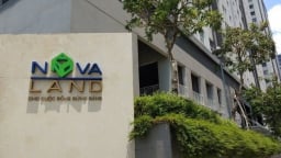 Novaland có Giám đốc tài chính mới