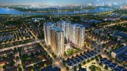 Novaland dự thu hơn 28.000 tỷ đồng từ thanh lý tài sản