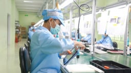 Đà Nẵng thu hút 25 doanh nghiệp vi mạch, bán dẫn