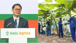 Công ty nông nghiệp của ông Trần Bá Dương và bầu Đức lỗ lũy kế, nợ ngắn hạn vượt tài sản, kiểm toán nghi ngờ khả năng hoạt động liên tục