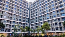 Quỹ nhà ở quốc gia chỉ đảm bảo dịch vụ cho thuê nhà, không mua bán - kinh doanh
