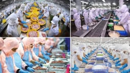 Xuất khẩu thủy sản đạt 5,8 tỷ USD trong 6 tháng đầu năm 2026 trước áp lực chi phí, thị trường và logistics