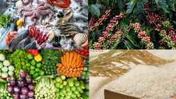 Kim ngạch xuất khẩu nông, lâm, thủy sản của Việt Nam trong tháng 6/2026 ước đạt 6,34 tỷ USD