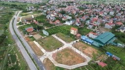 Hà Nội: Giao gần 30.000m2 xây nhà ở thấp tầng tại Đông Anh