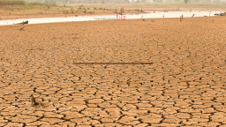 'Siêu El Nino' có thể đẩy giá lương thực toàn cầu tăng mạnh