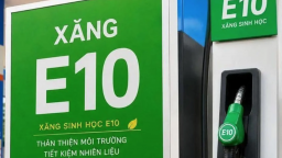 Xây chuỗi liên kết sắn - Ethanol: Lối mở cho xăng sinh học E10 tại Việt Nam