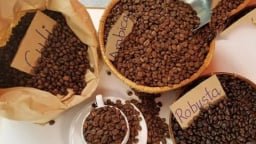 Giá cà phê tăng hơn 1.200 đồng/kg, hồ tiêu duy trì ổn định