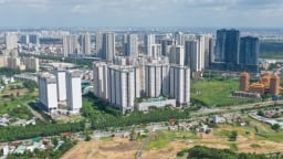 Đề xuất chưa xem xét kỷ luật cán bộ có một số vi phạm về đất đai trước khi Luật Đất đai 2024 có hiệu lực