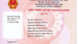Hình ảnh mẫu giấy phép lái xe mới do Bộ Công an cấp