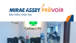 Thanh tra chỉ ra loạt tồn tại của 2 công ty bảo hiểm Bảo hiểm Cathay Việt Nam và Mirae Asset Prévoir