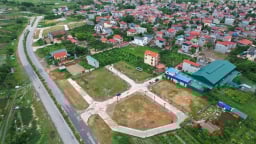 Hà Nội: Đấu giá thành công 34 thửa đất ở Thạch Thất, cao nhất hơn 56 triệu đồng/m2